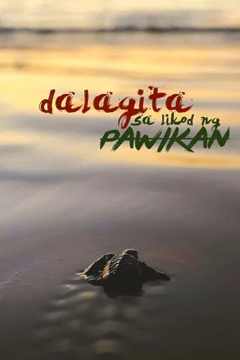 Dalagita sa Likod Pawikan poster