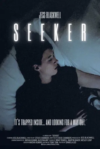 Seeker poster