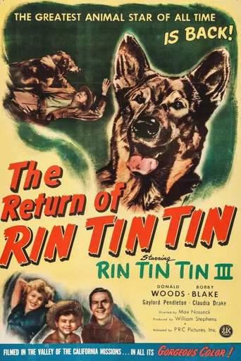The Return of Rin Tin Tin poster