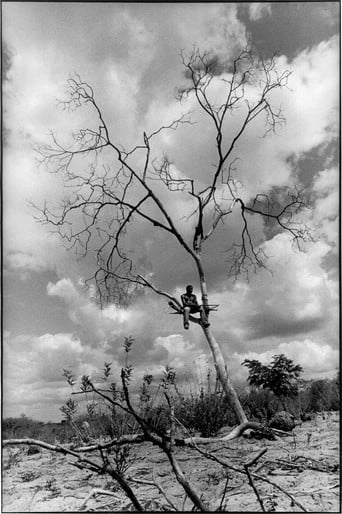 Dreaming of São Paulo poster