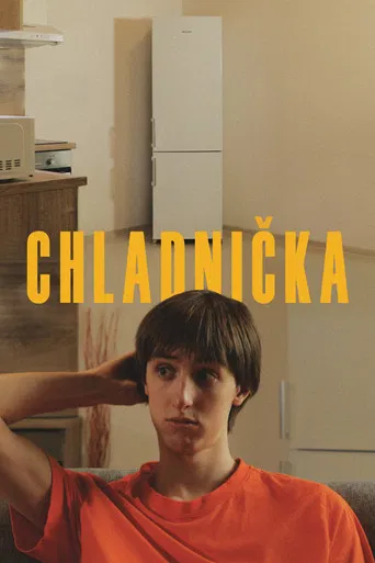 Chladnička poster