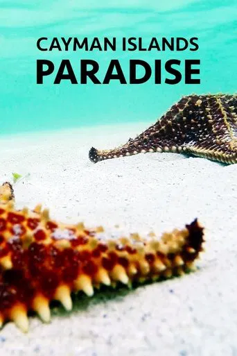 Cayman Islands: Paradise poster