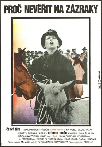 Proč nevěřit na zázraky poster