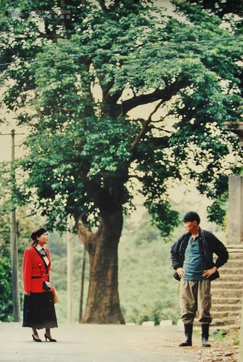 The Tofu Maker Had a Dream poster