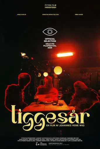 Liggesår poster