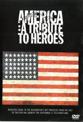 America | A Tribute to Heroes poster