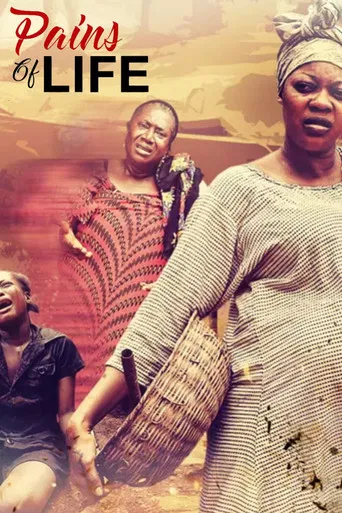 Pains Of Life poster