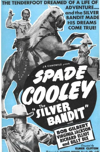 The Silver Bandit poster
