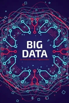 Big Data - La révolution des mégadonnées poster