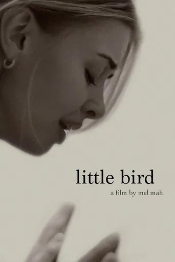 Little Bird poster