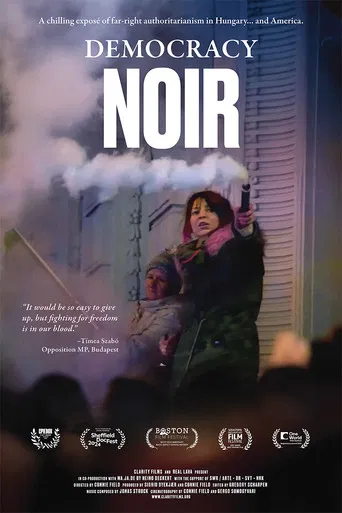 Democracy Noir poster