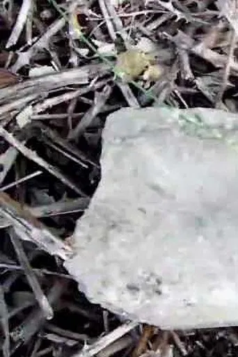 -Pursuit2.: A nessuno importa se viviamo/moriamo poster