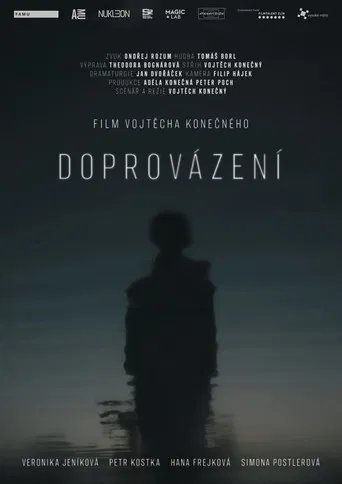 Doprovázení poster