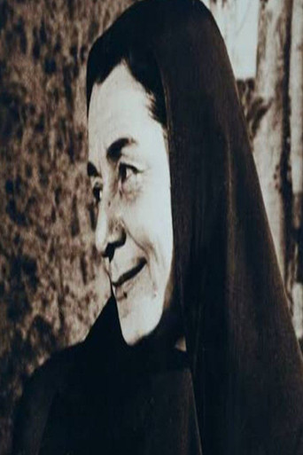 Sunset of Love poster