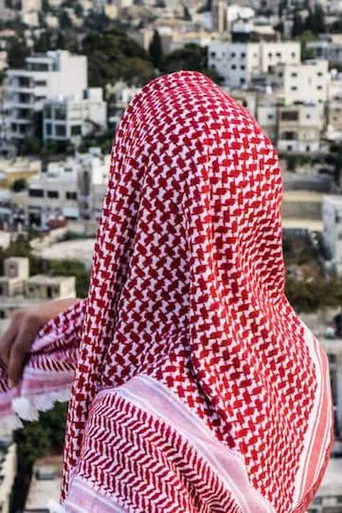 Birds of the Borderlands poster