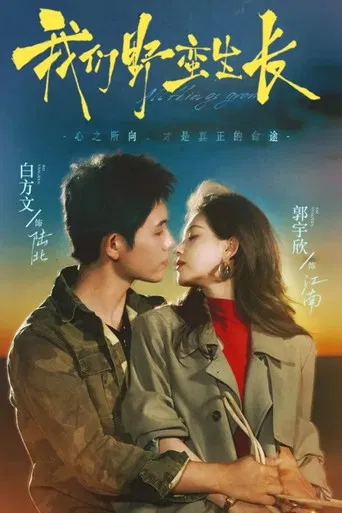 我们野蛮生长 poster