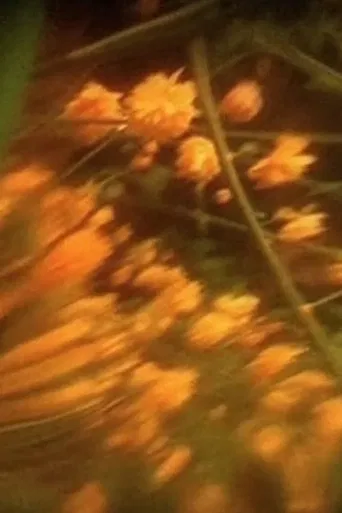 Preghiera n. 7 - Qual è la Mia Casa (Polittico di Primavera) poster