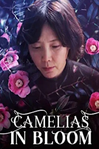 Camellias in Bloom poster