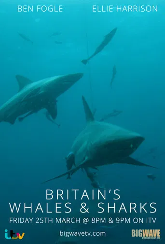 Britain's Whales and Sharks poster