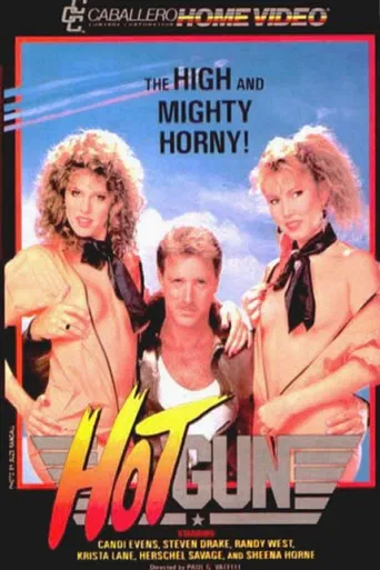 Hot Gun poster