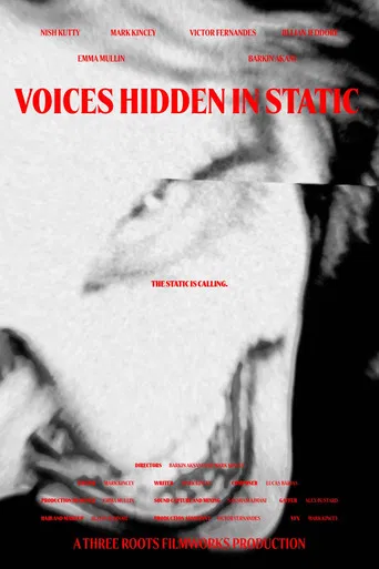Voices Hidden in Static poster