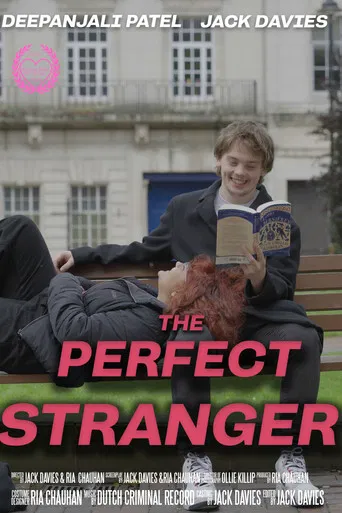 The Perfect Stranger poster
