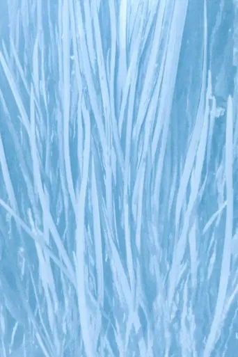 Our Watery Selves poster