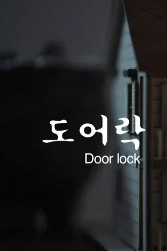 Door Lock poster
