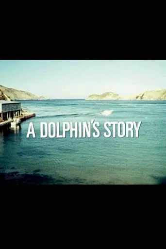 A Dolphin's Story poster