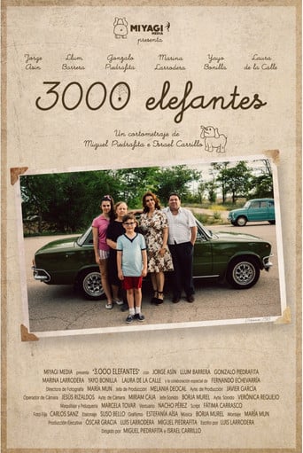 3000 elefantes poster