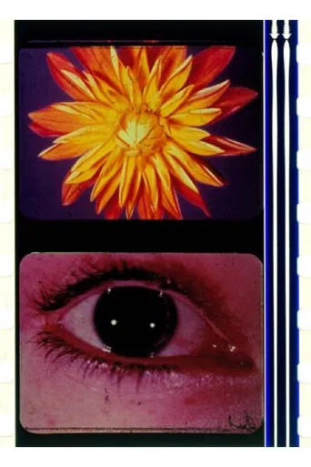 To the Happy Few poster