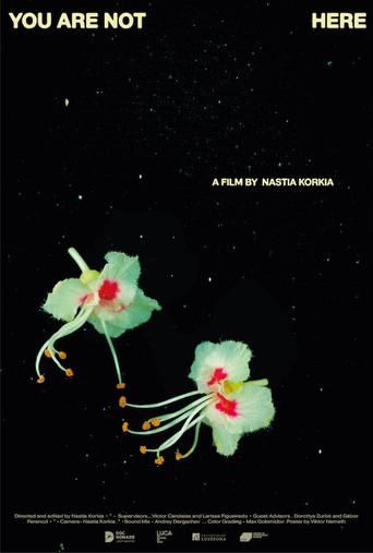 You are not here poster