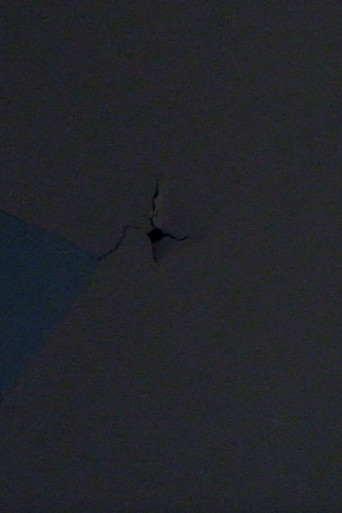 Bad Frequencies poster