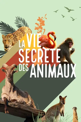 La vie secrète des animaux poster