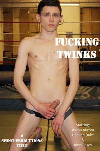 Fucking Twinks poster