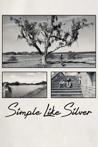 Simple Like Silver poster
