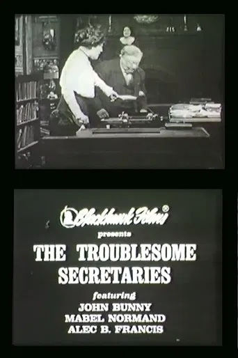 Troublesome Secretaries poster