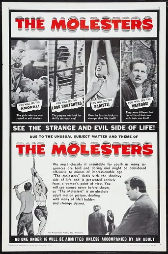 The Molesters poster