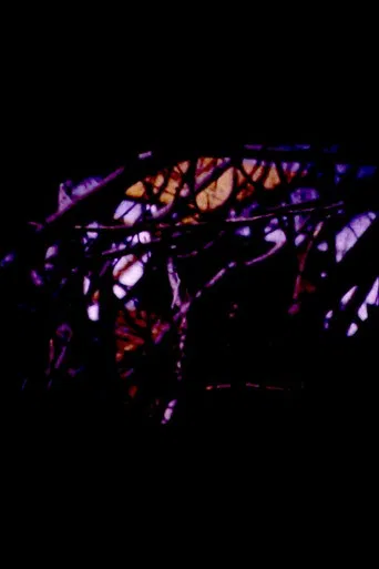 Backyard Winter poster