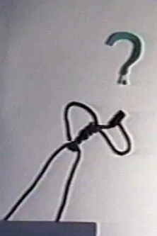 The Lazy Mirror poster