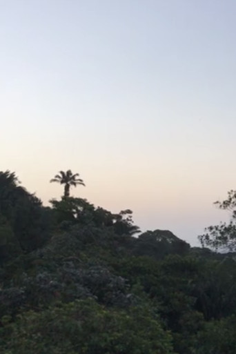 new moon love poster