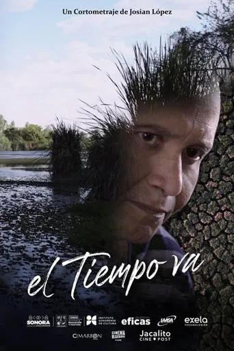 El tiempo va poster