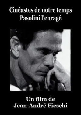 Pasolini l'Enragé poster