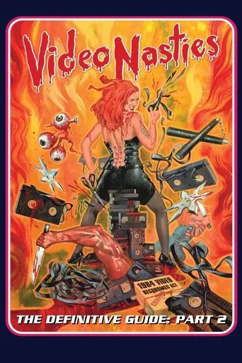 Video Nasties - The Definitive Guide Part 2 - The Section 3 List A-L poster