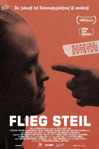 Flieg steil poster