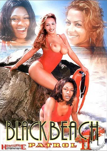Black Beach Patrol 11 poster