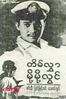 Tein Hlwar Moht Moht Lwin poster