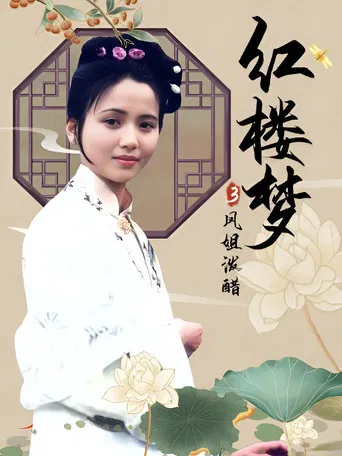 红楼梦第三部：凤姐泼醋 poster