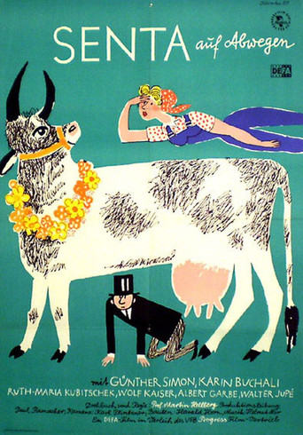 Senta's Gone Missing poster