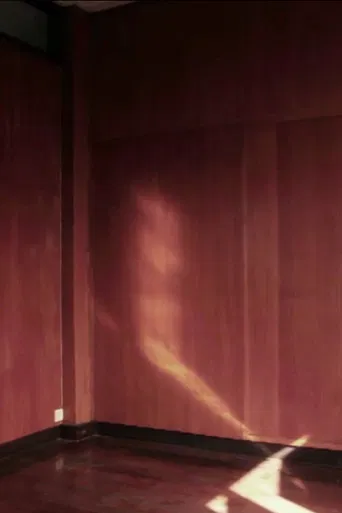 Passing Through the Night poster